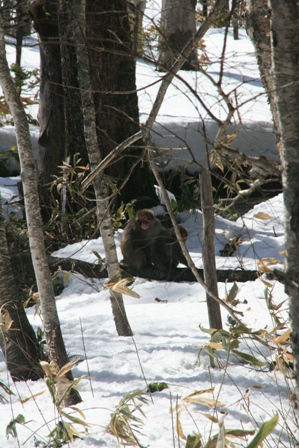 img_4563.jpg