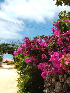 dscf5944.jpg