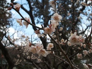 dscf4925.jpg