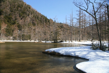 img_4547.jpg