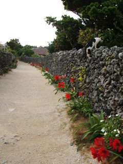 dscf5881.jpg