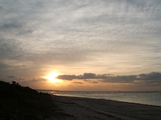 dscf5860.jpg