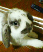 img20051130.jpg