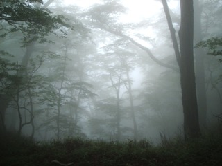 dscf6374.jpg