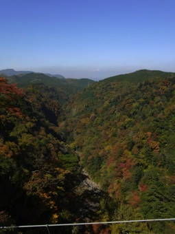 11-12九重夢大橋2