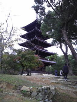 10-29仁和寺11