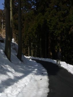 26比叡山2