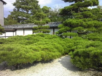 10-29仁和寺3