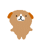 image4205