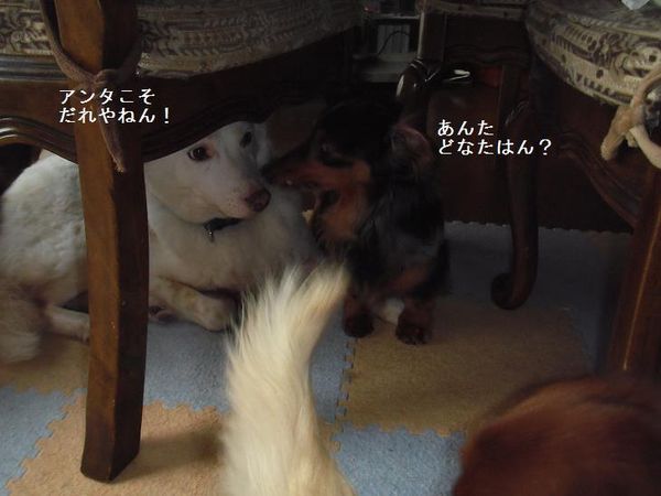 ヒデジョークリとヤムおばさん-2~