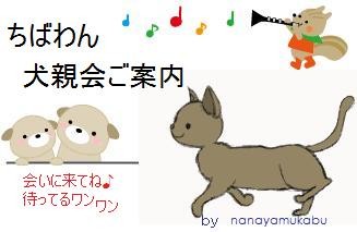 いぬ親会ご案内いぬ・ねこ・きつね