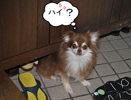 BlogPaint