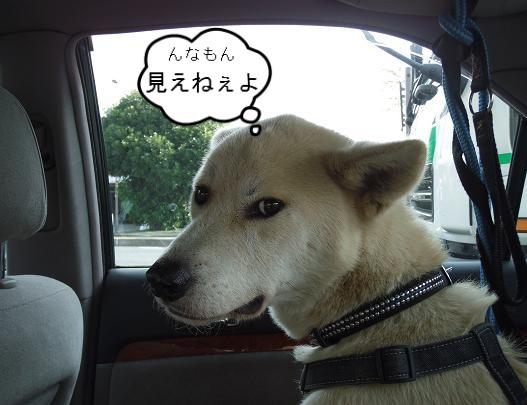 BlogPaint