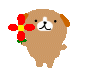 image4207
