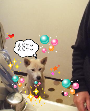 BlogPaint