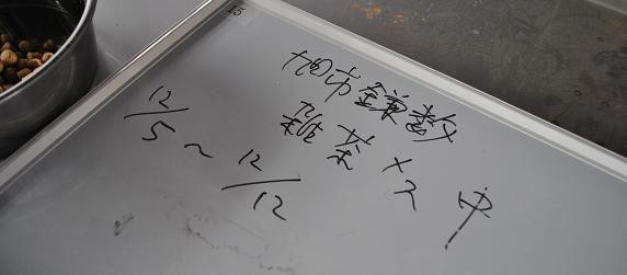 センター№15パト似の幼い子-