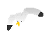 image4270