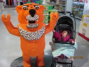 img20100120_2.jpg