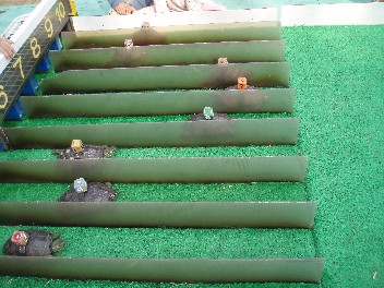 img20061110.jpg