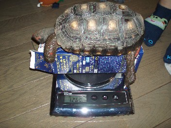 img20071030_4.jpg