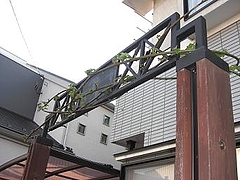 0425blackberry2