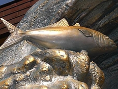 buri