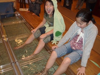 img20080213.jpg