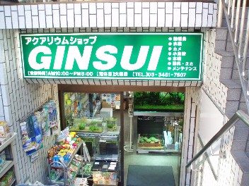 ginsui.jpg
