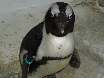 img20061113.jpg