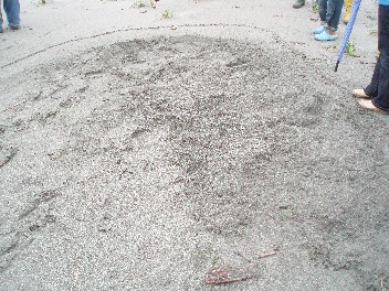 0630beach.jpg