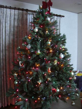 1226tree.jpg
