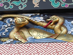 turtlevssnake