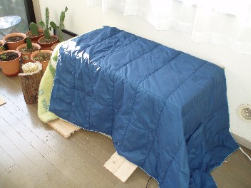 img20070124_2.jpg