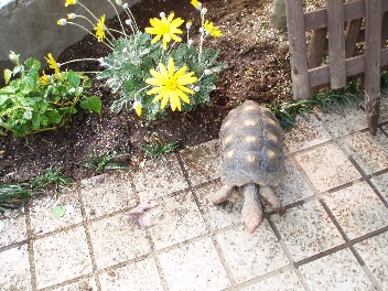 img20071202.jpg