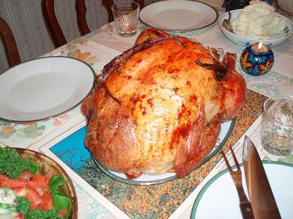 turkey1.jpg