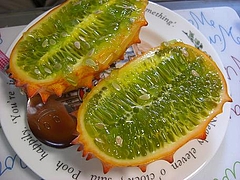 1211fruit
