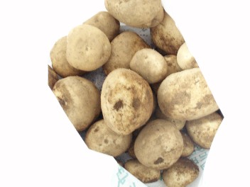 potato.jpg