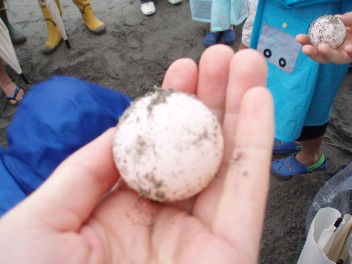0630egg.jpg