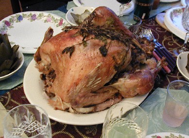 Turkey2005_1.jpg