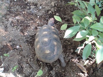 img20081021.jpg