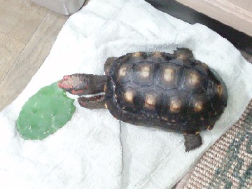 img20061204.jpg