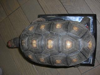 0202weight.jpg