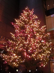 1125decoratedtree