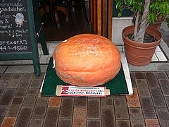 1010pumpkinathiroo