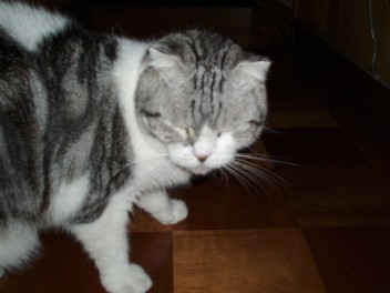 0924laya.jpg