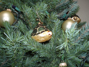 ornament.jpg