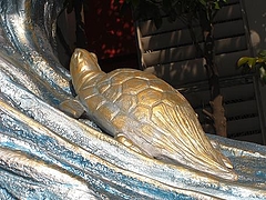turtle