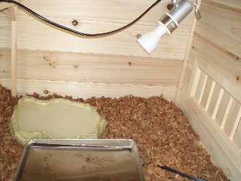 img20070124_1.jpg