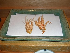 0525shrimp