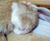 img20071021.jpg